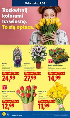 Lidl - gazetka promocyjna Oferta od wtorku od wtorku 07.04 do środy 08.04 - strona 58