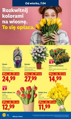 Lidl - gazetka promocyjna Oferta od wtorku od wtorku 07.04 do środy 08.04 - strona 58