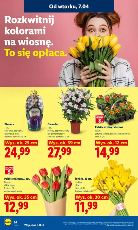 Lidl - gazetka promocyjna Oferta od wtorku od wtorku 07.04 do środy 08.04 - strona 58