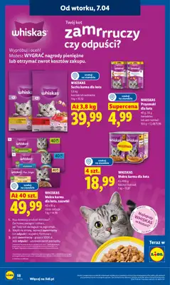 Lidl - gazetka promocyjna Oferta od wtorku od wtorku 07.04 do środy 08.04 - strona 60