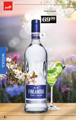 POLOmarket - gazetka promocyjna Katalog alkoholi  do środy 22.04 - strona 6