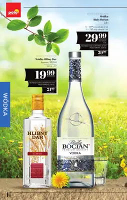 POLOmarket - gazetka promocyjna Katalog alkoholi  do środy 22.04 - strona 8