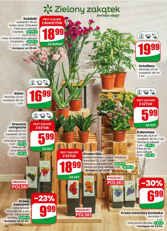 Dino - gazetka promocyjna Gazetka 15 / 2026 od środy 08.04 do wtorku 14.04 - strona 54