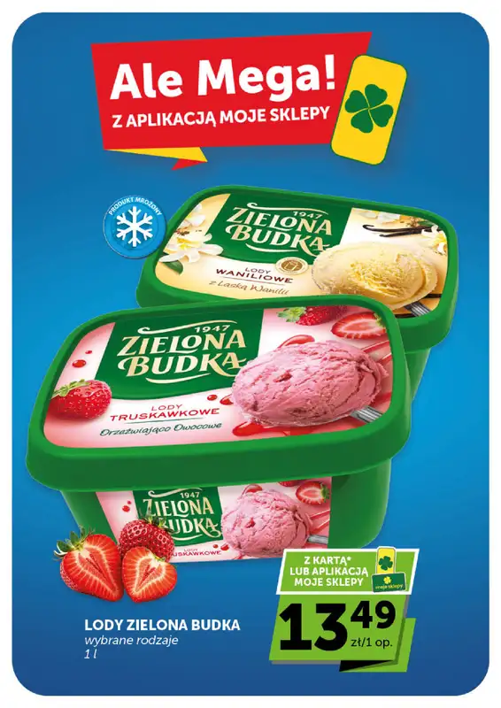 Euro Sklep - gazetka promocyjna Gazetka Minimarket  do środy 15.04 - strona 10