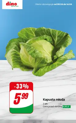 Dino - gazetka promocyjna Nawet do -33% TANIEJ od czwartku 09.04 do wtorku 14.04 - strona 7