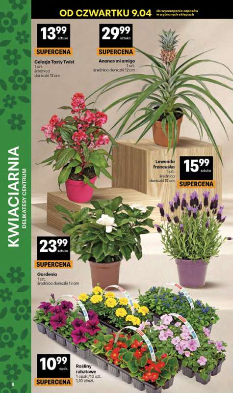 Delikatesy Centrum - gazetka promocyjna Gazetka  do środy 15.04 - strona 8
