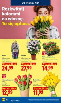 Lidl - gazetka promocyjna Oferta od wtorku od wtorku 07.04 do środy 08.04 - strona 58