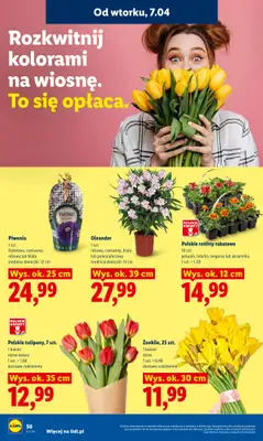 Lidl - gazetka promocyjna Oferta od wtorku od wtorku 07.04 do środy 08.04 - strona 58