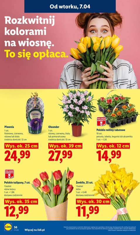 Lidl - gazetka promocyjna Oferta od wtorku od wtorku 07.04 do środy 08.04 - strona 58