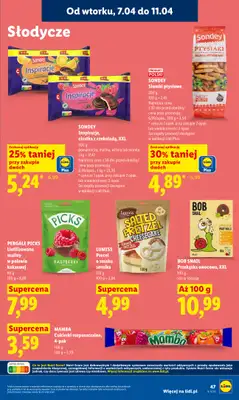 Lidl - gazetka promocyjna Oferta od wtorku od wtorku 07.04 do środy 08.04 - strona 49