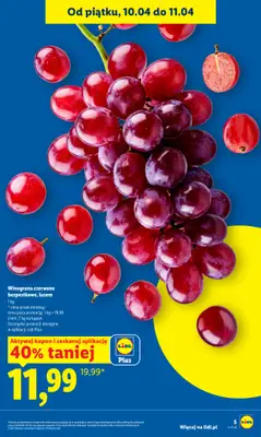 Lidl - gazetka promocyjna Oferta od czwartku od czwartku 09.04 do soboty 11.04 - strona 5