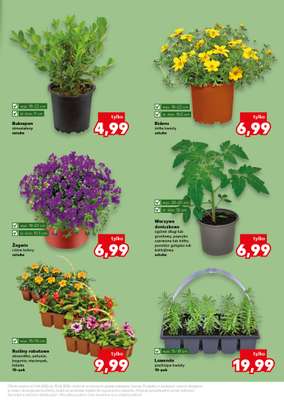 Kaufland - gazetka promocyjna Oferta Kaufland - Ogród od czwartku 09.04 do środy 15.04 - strona 11