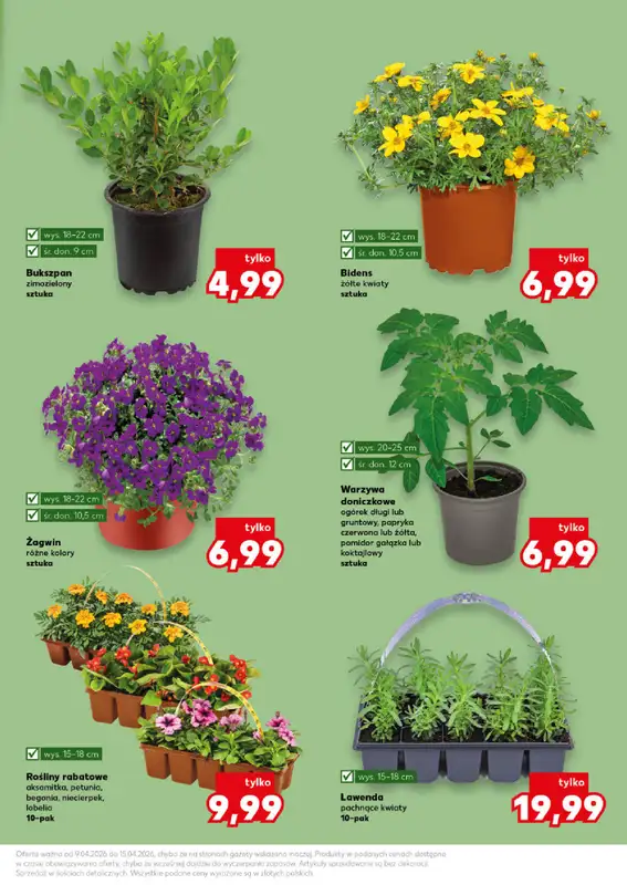 Kaufland - gazetka promocyjna Oferta Kaufland - Ogród od czwartku 09.04 do środy 15.04 - strona 11