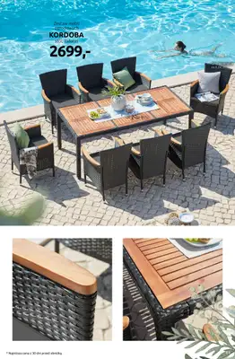 Black Red White - gazetka promocyjna Twój ogród taki jak lubisz od środy 01.04 do niedzieli 26.04 - strona 11