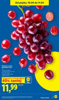 Lidl - gazetka promocyjna Oferta od czwartku od czwartku 09.04 do soboty 11.04 - strona 5