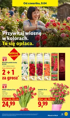 Lidl - gazetka promocyjna Oferta od czwartku od czwartku 09.04 do soboty 11.04 - strona 67