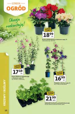 Auchan - gazetka promocyjna Gazetka Strefa relaksu Hipermarket Auchan od czwartku 09.04 do środy 22.04 - strona 12