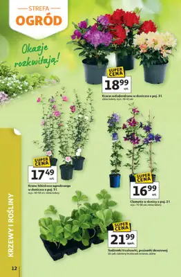 Auchan - gazetka promocyjna Gazetka Strefa relaksu Hipermarket Auchan od czwartku 09.04 do środy 22.04 - strona 12