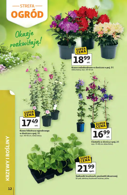 Auchan - gazetka promocyjna Gazetka Strefa relaksu Hipermarket Auchan od czwartku 09.04 do środy 22.04 - strona 12