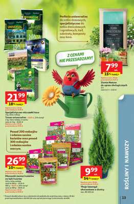 Auchan - gazetka promocyjna Gazetka Strefa relaksu Hipermarket Auchan od czwartku 09.04 do środy 22.04 - strona 13