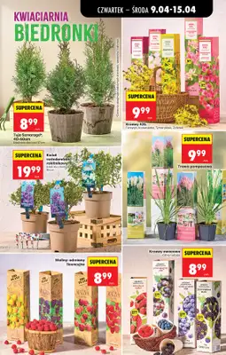 Biedronka - gazetka promocyjna Od czwartku od czwartku 09.04 do środy 15.04 - strona 85