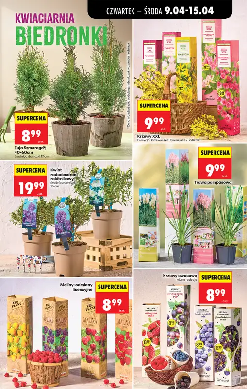 Biedronka - gazetka promocyjna Od czwartku od czwartku 09.04 do środy 15.04 - strona 85
