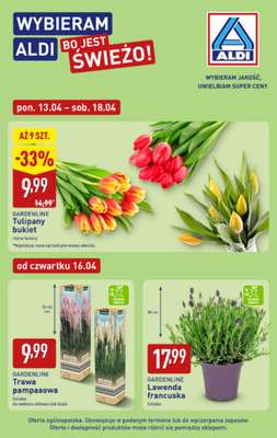 Aldi - gazetka promocyjna Weekend super cen w Aldi! od czwartku 16.04 do soboty 18.04 - strona 11