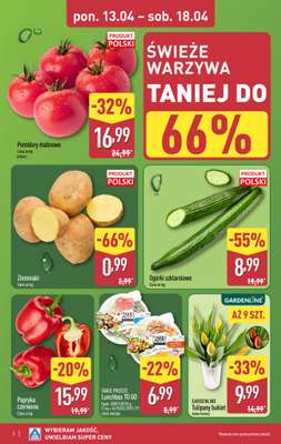 Aldi - gazetka promocyjna Pełny katalog! od poniedziałku 13.04 do soboty 18.04 - strona 2
