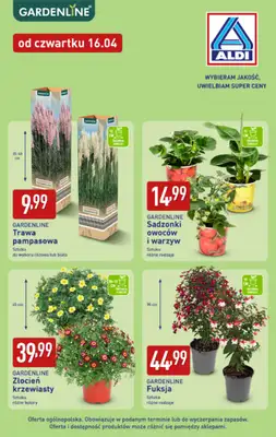 Aldi - gazetka promocyjna Rośliny ogrodowe w super cenach Aldi! od poniedziałku 13.04 do soboty 18.04 - strona 3