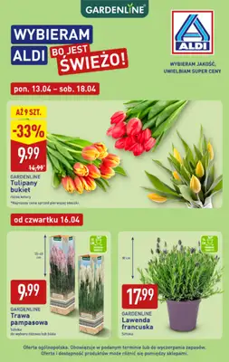 Aldi - gazetka promocyjna Rośliny ogrodowe w super cenach Aldi! od poniedziałku 13.04 do soboty 18.04