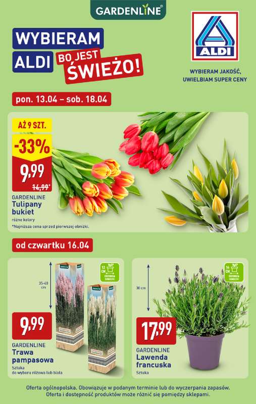 Aldi - gazetka promocyjna Rośliny ogrodowe w super cenach Aldi! od poniedziałku 13.04 do soboty 18.04