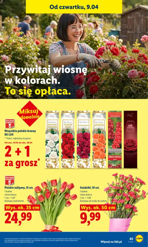 Lidl - gazetka promocyjna Oferta od czwartku od czwartku 09.04 do soboty 11.04 - strona 69