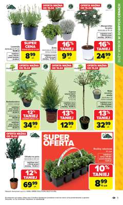 Carrefour - gazetka promocyjna Gazetka Łap super okazje od poniedziałku od poniedziałku 13.04 do niedzieli 26.04 - strona 9