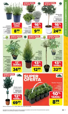 Carrefour - gazetka promocyjna Gazetka Łap super okazje od poniedziałku od poniedziałku 13.04 do niedzieli 26.04 - strona 9