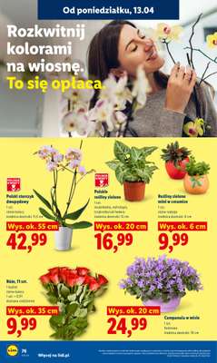 Lidl - gazetka promocyjna Oferta od poniedziałku od poniedziałku 13.04 do środy 15.04 - strona 82