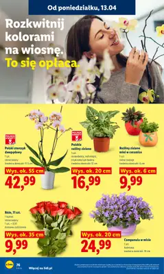 Lidl - gazetka promocyjna Oferta od poniedziałku od poniedziałku 13.04 do środy 15.04 - strona 82
