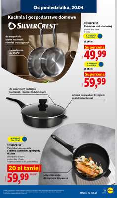 Lidl - gazetka promocyjna Katalog od poniedziałku 20.04 do niedzieli 26.04 - strona 17