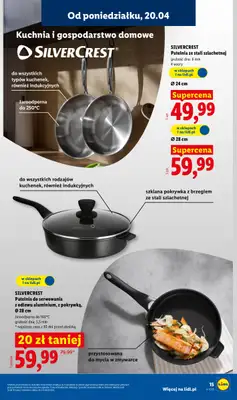 Lidl - gazetka promocyjna Katalog od poniedziałku 20.04 do niedzieli 26.04 - strona 17