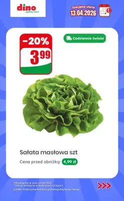 Dino - gazetka promocyjna Specjalna oferta na 13.04.2026 - promocje spoza gazetki od poniedziałku 13.04 do poniedziałku 13.04 - strona 4