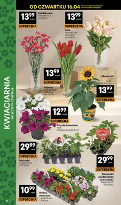 Delikatesy Centrum - gazetka promocyjna Gazetka  do środy 22.04 - strona 10