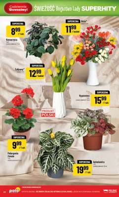 POLOmarket - gazetka promocyjna Gazetka od środy 15.04 do wtorku 21.04 - strona 44