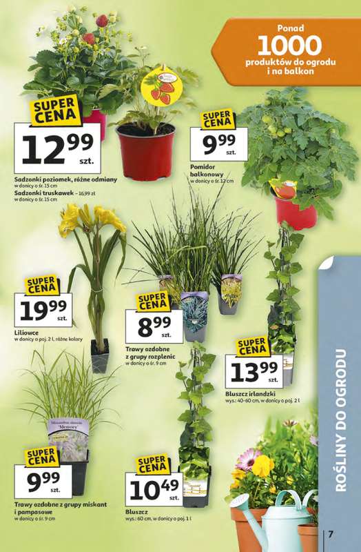 Auchan - gazetka promocyjna Gazetka 30 Lat Hipermarket Auchan od czwartku 16.04 do środy 22.04 - strona 7