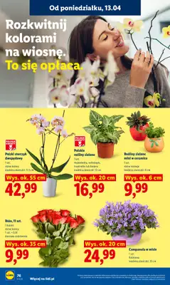Lidl - gazetka promocyjna Oferta od poniedziałku od poniedziałku 13.04 do środy 15.04 - strona 82