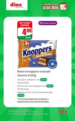 Dino - gazetka promocyjna Specjalna oferta na 14.04.2026 - promocje spoza gazetki od wtorku 14.04 do wtorku 14.04 - strona 7