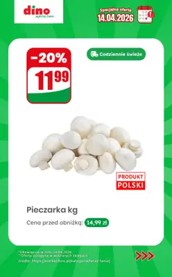 Dino - gazetka promocyjna Specjalna oferta na 14.04.2026 - promocje spoza gazetki od wtorku 14.04 do wtorku 14.04 - strona 2