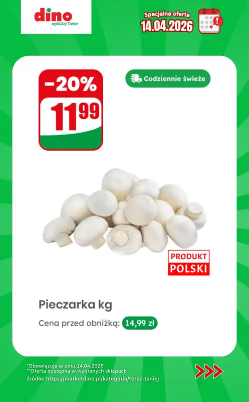 Dino - gazetka promocyjna Specjalna oferta na 14.04.2026 - promocje spoza gazetki od wtorku 14.04 do wtorku 14.04 - strona 2