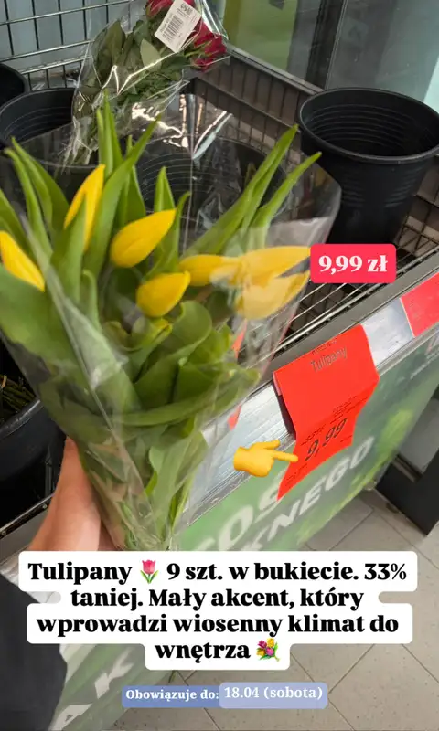 Aldi - gazetka promocyjna Zakupowe inspiracje w Aldi od wtorku 14.04 do soboty 18.04 - strona 7