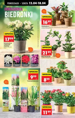 Biedronka - gazetka promocyjna Od poniedziałku od poniedziałku 13.04 do soboty 18.04 - strona 83