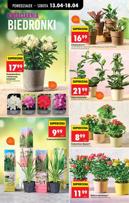 Biedronka - gazetka promocyjna Od poniedziałku, Z ladą tradycyjną od poniedziałku 13.04 do soboty 18.04 - strona 92