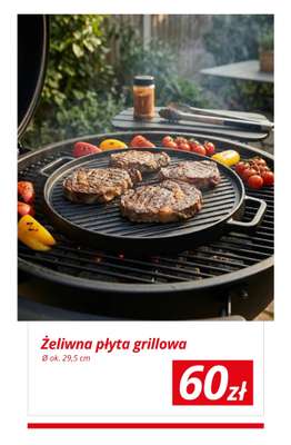 KiK - gazetka promocyjna Rodzinny grill w ogrodzie! od wtorku 14.04  - strona 2